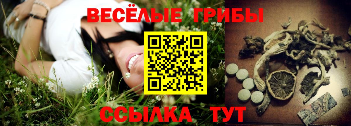 цена наркотик  Псилоцибиновые грибы прущие грибы  Вход с VPN  Зерноград  Псилоцибиновые грибы Psilocybe 